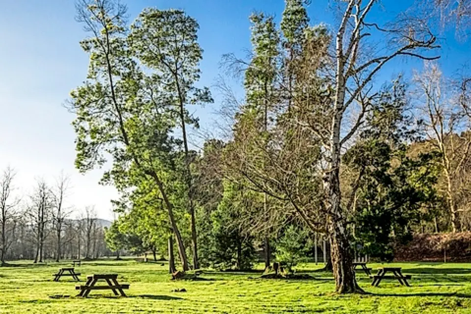 Parque Natural de La Viesca, en Torrelavega. / ALERTA