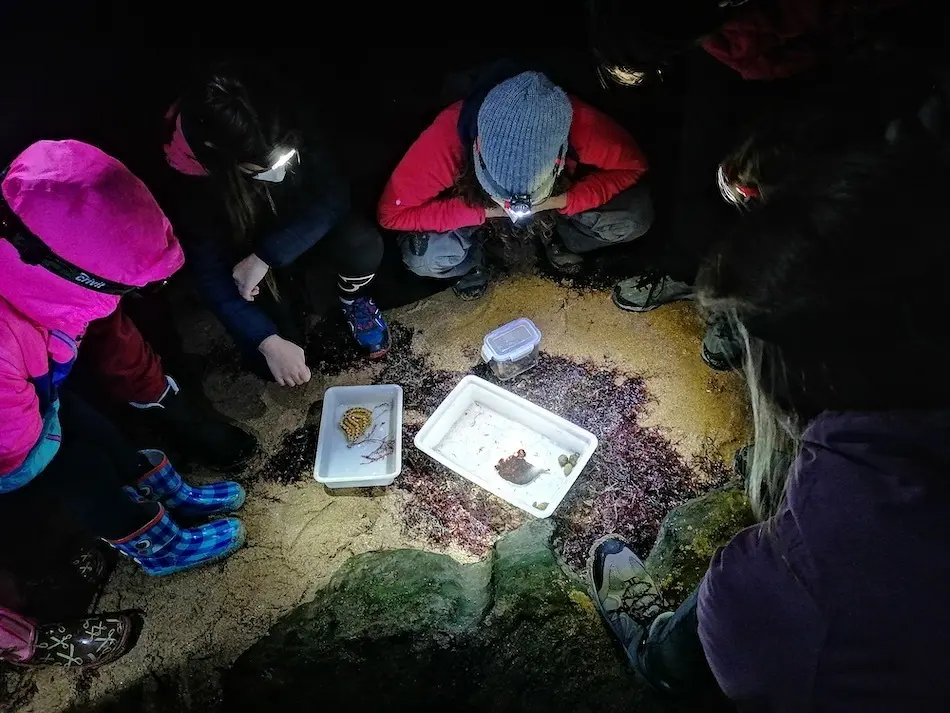 Los participantes podr&aacute;n explorar el ecosistema que habita en la frontera del medio marino y terrestre. / ALERTA
