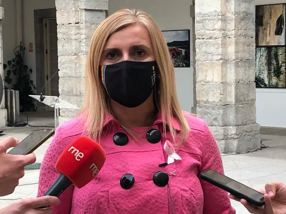 La n&uacute;mero 2 del PSOE de Cantabria y portavoz en el Parlamento, Noelia Cobo. / ALERTA