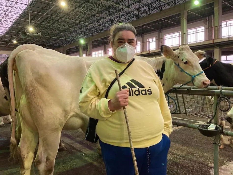 Rosario, ganadera de Vega de Pas, junto a sus novillas frisonas ayer en la feria semanal del Mercado Nacional de Ganados de Torrelavega. / ALERTA