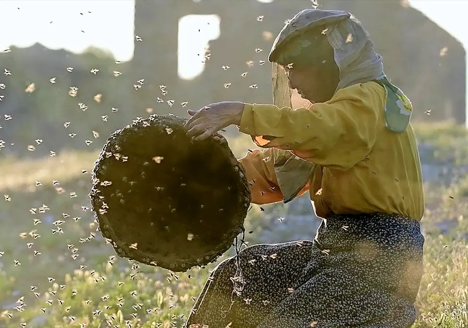 Escena de &lsquo;Honeyland&rsquo; que se podr&aacute; ver el s&aacute;bado 28. / ALERTA