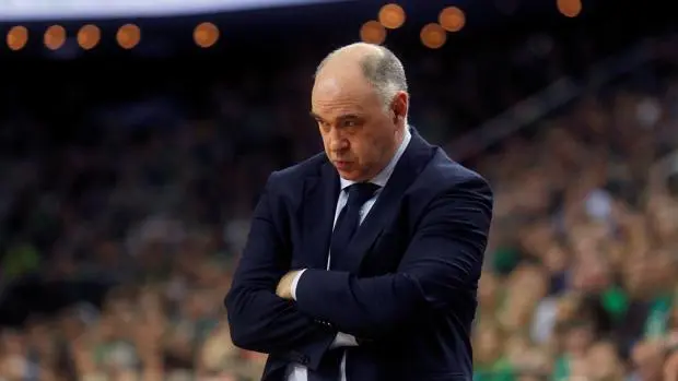EL t&eacute;cnico merengue, Pablo Laso. / EFE