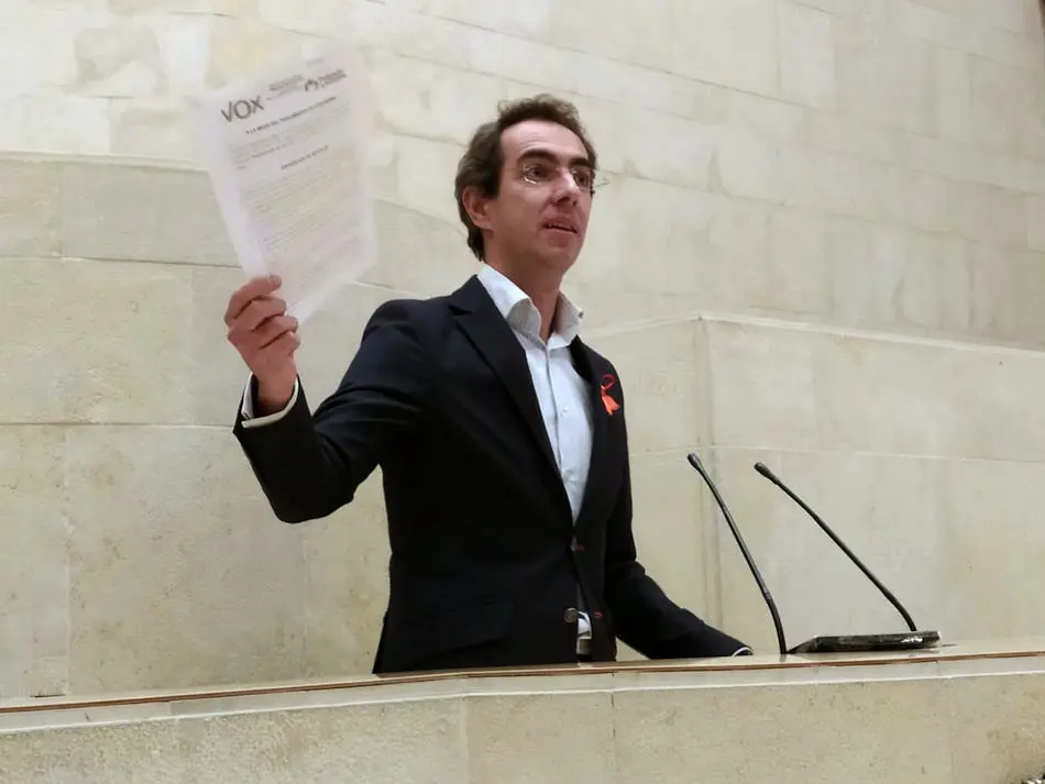 El diputado de Vox Armando Alvarez en la tribuna del Parlamento de Cantabria. / ALERTA