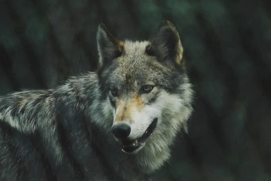 michael-larosa-kR1Aer8c_WI-unsplash