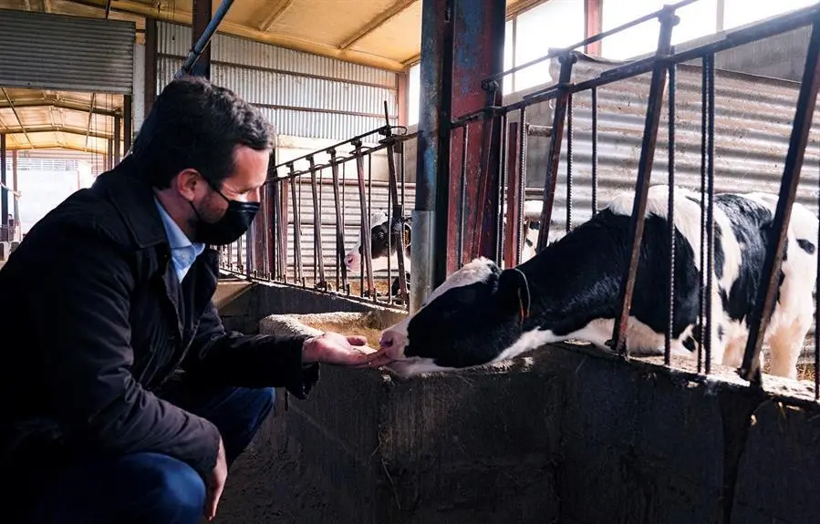 El presidente del PP, Pablo Casado, durante su visita en Alcarr&aacute;s. / EFE