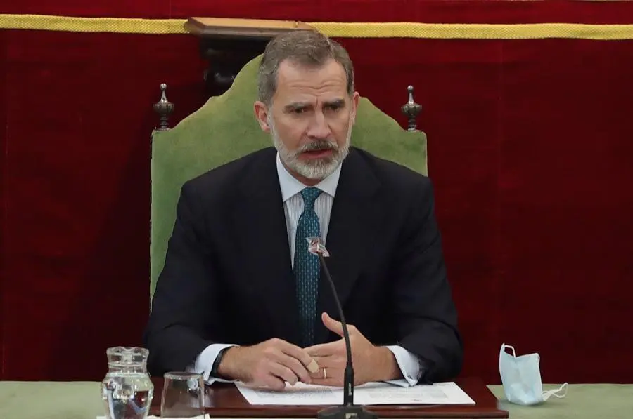 El rey Felipe VI. EFE/JuanJo Mart&iacute;n/Archivo