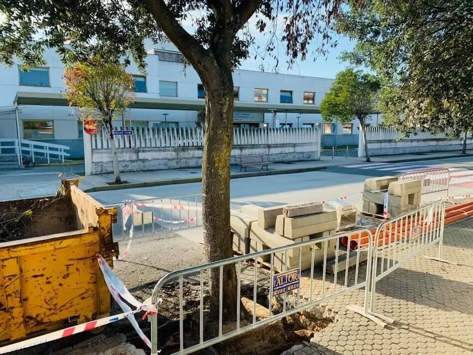 Encina frente al Hospital Comarcal.