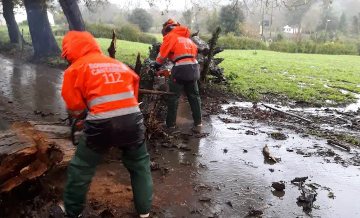 Operarios del 112 quitando un &aacute;rbol ca&iacute;do en una carretera. / 112