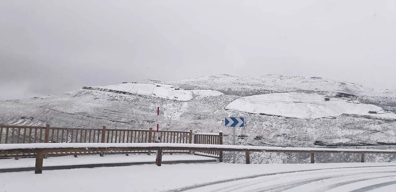 nieve estacas de trueba