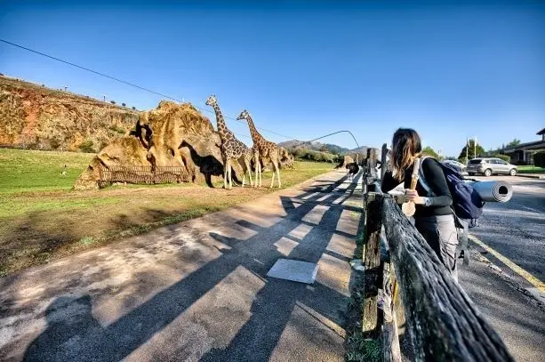 Recinto de las jirafas de Cab&aacute;rceno