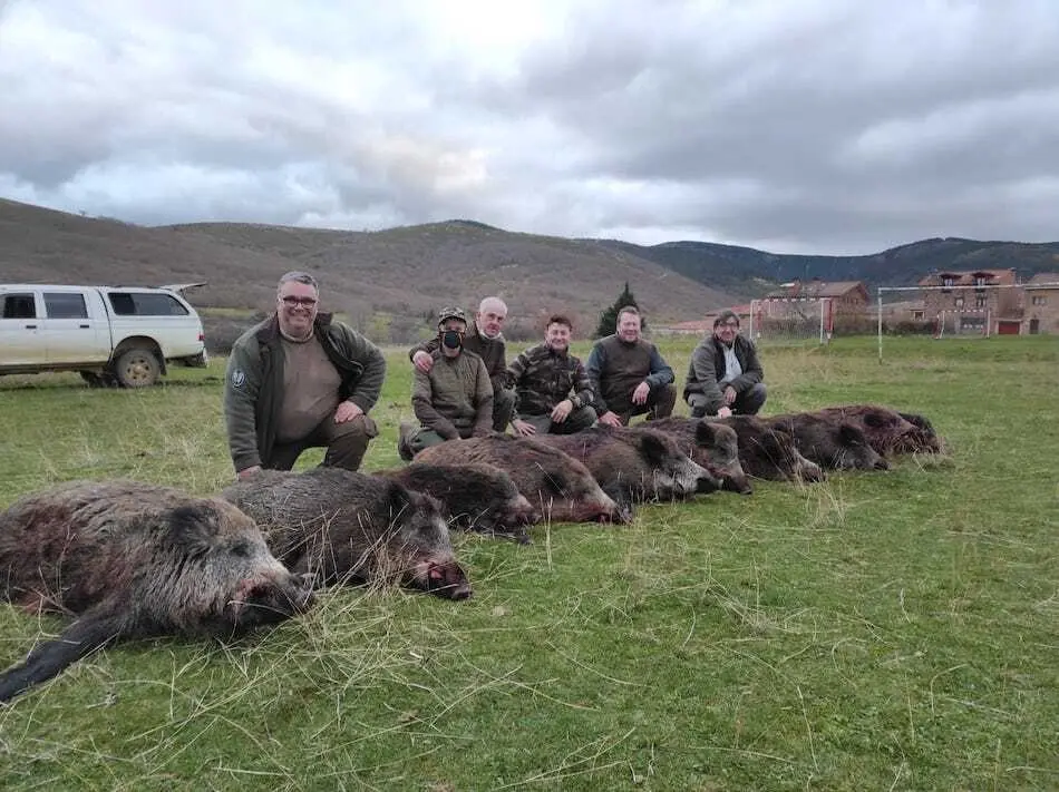 Grupo de cazadores con los jabalies matados en un coto.