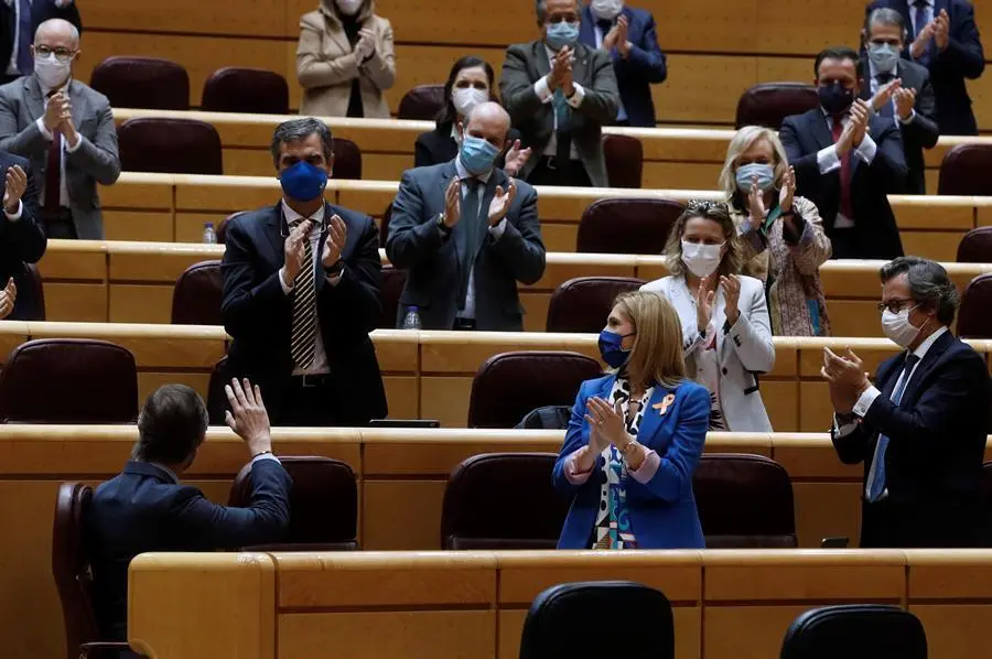 El portavoz del Grupo Popular en el Senado, Javier Maroto, es ovacionado por la bancada Popular tras su intervenci&oacute;n durante el pleno de debate de la totalidad del proyecto de Ley de los Presupuestos Generales, este lunes, en Madrid. EFE/J.J. Guill&eacute;n