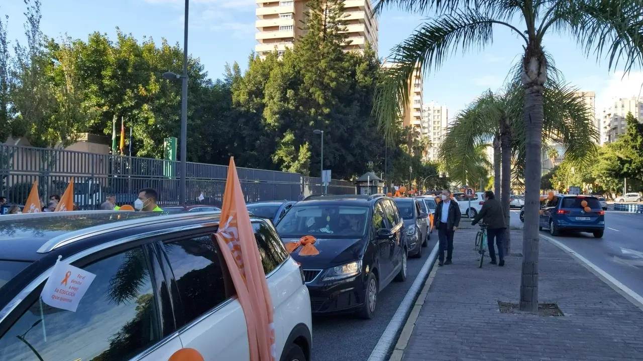 Manifestaci&oacute;n contra la 'Ley Cela&aacute;'. / E. PRESS