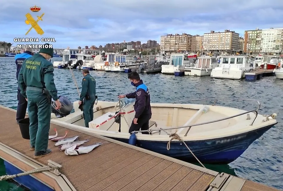 Agentes de la Guardia Civil con el material intervenido. / ALERTA
