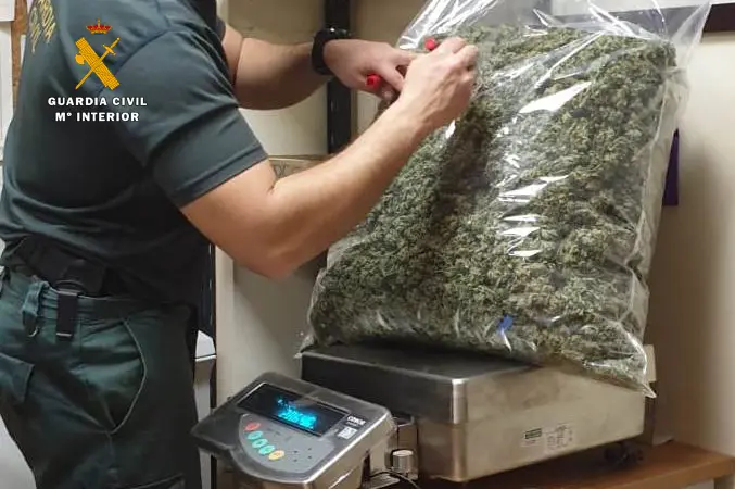 marihuana 2