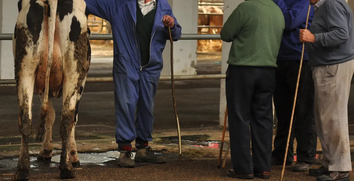 Varias personas en el ferial de ganados de Torrelavega. / ALERTA