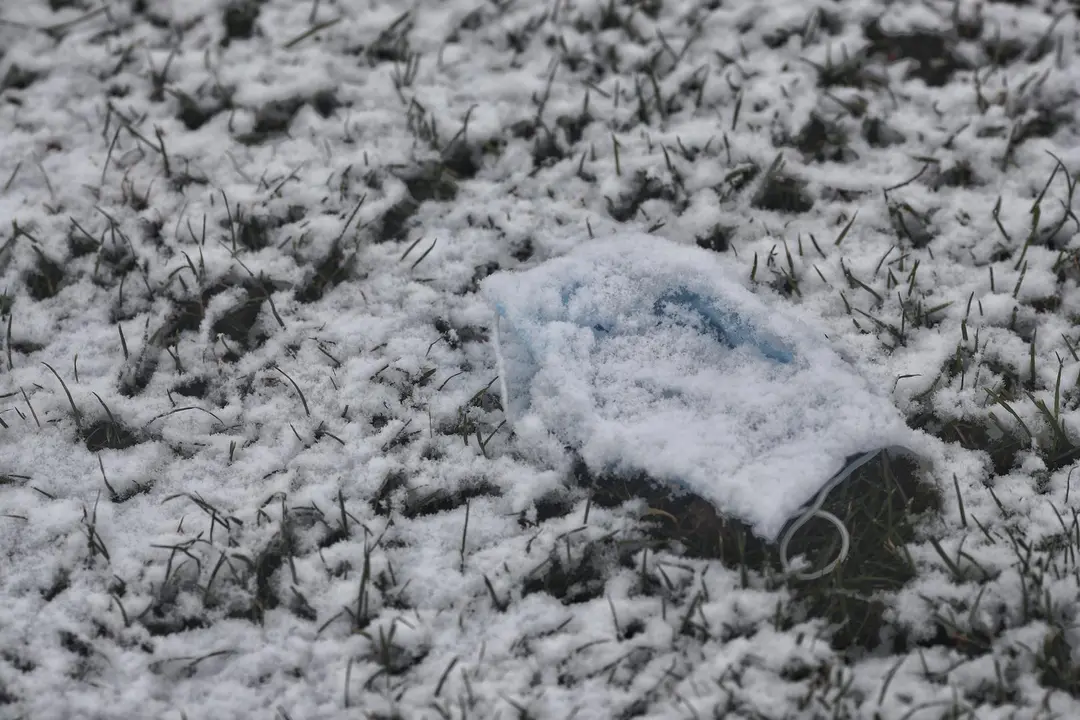 Nieve