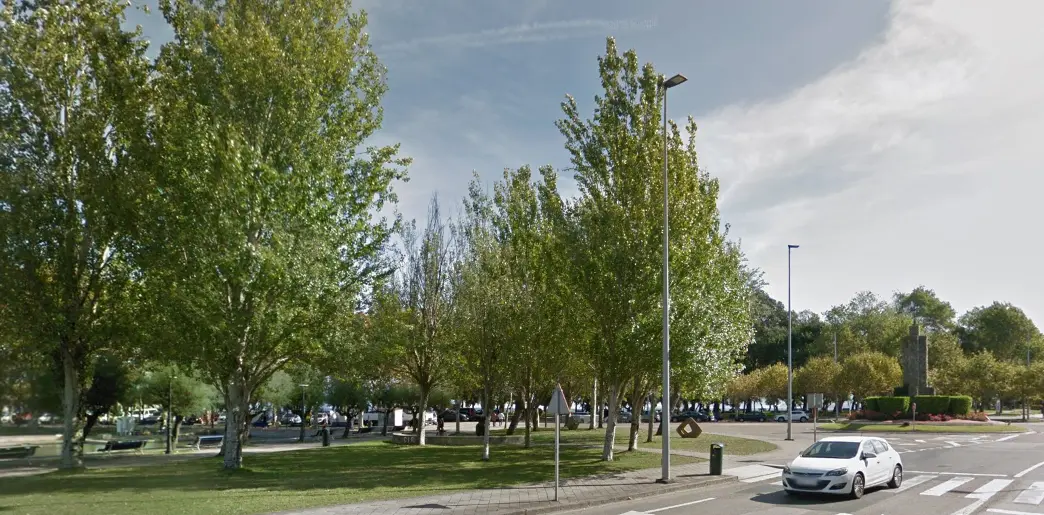 arboles