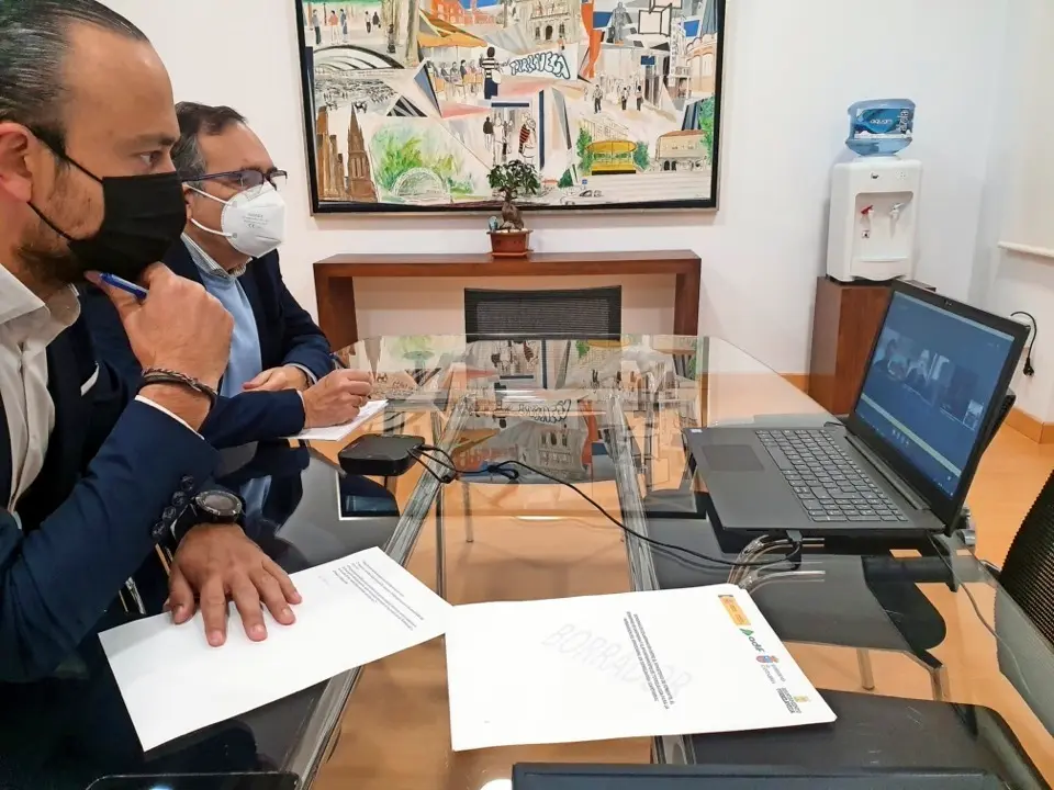L&oacute;pez Estrada y Cruz Viadero durante la reuni&oacute;n telem&aacute;tica. / ALERTA