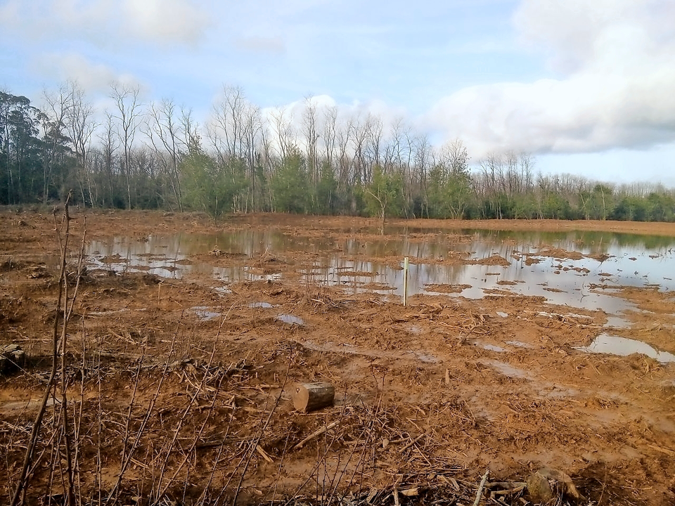 Vista de la r&iacute;a de Sol&iacute;a en la zona de Morero. / ALERTA