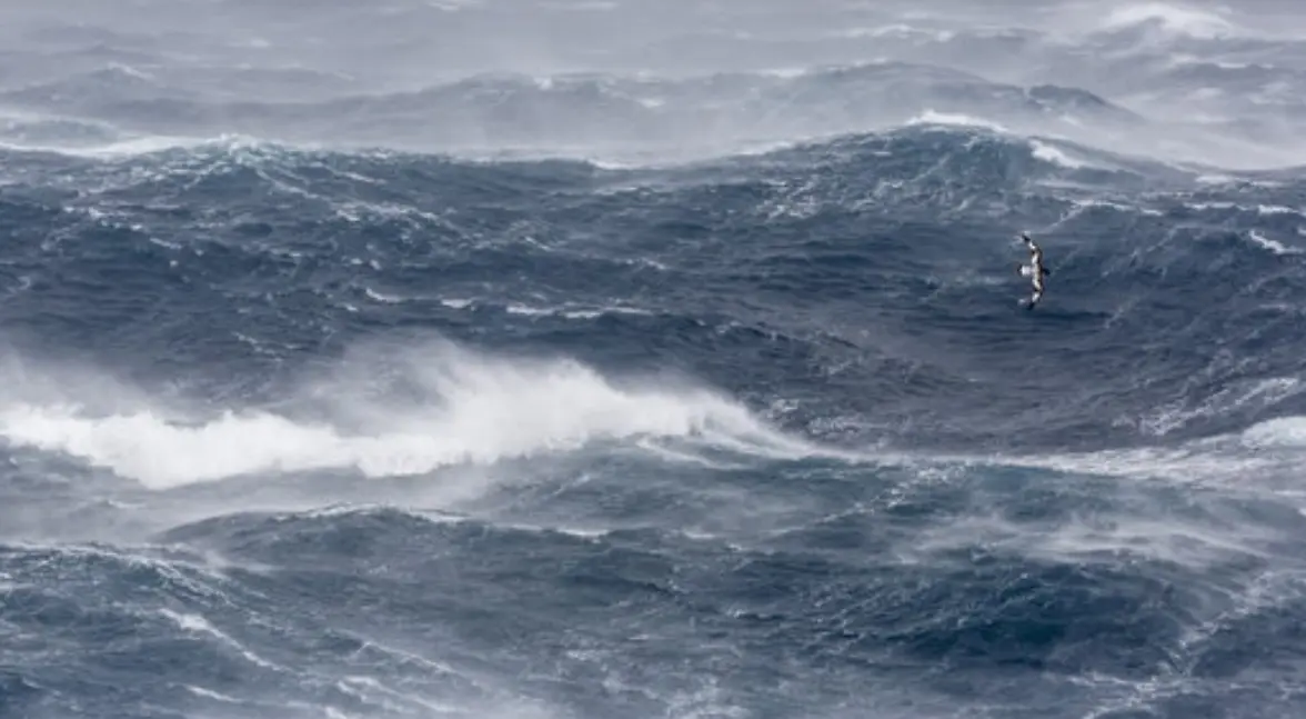 Temporal de olas en la costa c&aacute;ntabra. / ALERTA