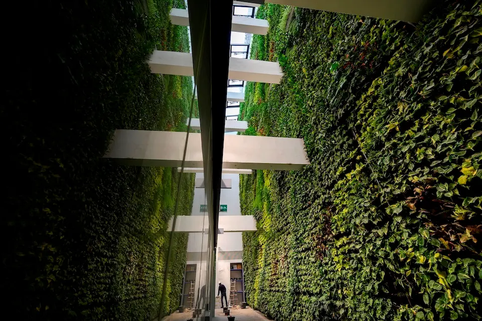 GRAF9835. SANTANDER, 31/01/2021.-  Un futuro centro c&Igrave;vico de Santander esconde un gran jard&Igrave;n vertical interior, que ostenta el r&Egrave;cord de ser el m&middot;s grande de Europa con 32 metros de largo, 17 de alto y 22.300 plantas por toda una pared de un edificio, que fue dep&Ucirc;sito del tabaco que llegaba al puerto de la capital c&middot;ntabra desde otros pa&Igrave;ses. El jard&Igrave;n ha sido dise&Ograve;ado por la "spin-off" de la Universidad de Sevilla, Terapia Urbana, en la que ingenieros agr&Ucirc;nomos y arquitectos apuestan por la naturaci&Ucirc;n urbana como instrumento de la arquitectura sostenible. EFE/ Pedro Puente Hoyos
