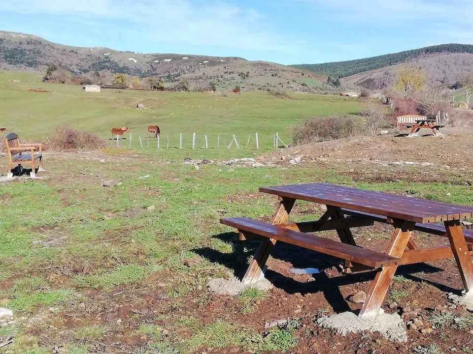 Vista de la zona recreativa en La Costana. / ALERTA