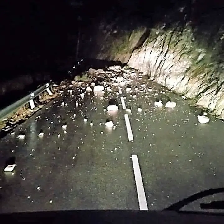 Argayo en el desfiladero de La Hermida. / ALERTA
