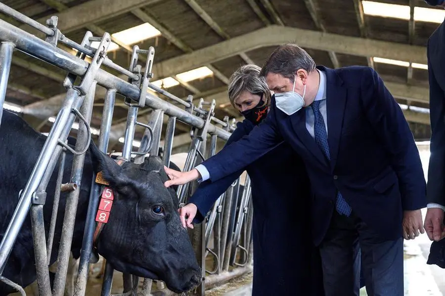 El ministro de Agricultura, Pesca y Alimentaci&oacute;n, Luis Planas (d), junto a la alcaldesa de Escobedo de Camargo, Esther Bolado (d), durante la visita de este jueves a las instalaciones de la primera vaquer&iacute;a espa&ntilde;ola, SAT Arenas, que cuenta con el primer sistema automatizado de alimentaci&oacute;n, as&iacute; como dos robots de orde&ntilde;o. EFE/ Pedro Puente Hoyos