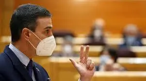 El presidente del Gobierno, Pedro S&aacute;nchez, durante su intervenci&oacute;n en la sesi&oacute;n de control al Gobierno en el Senado.EFE