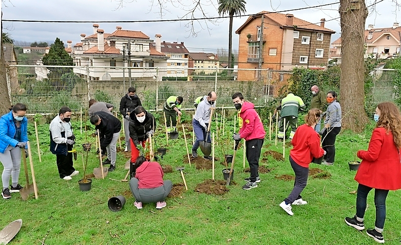 Los vecinos durante la plantaci&oacute;n de los arboles para recuperar el espacio verde de la ciudad. / ALERTA