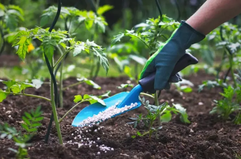 Cultivo ecol&oacute;gico