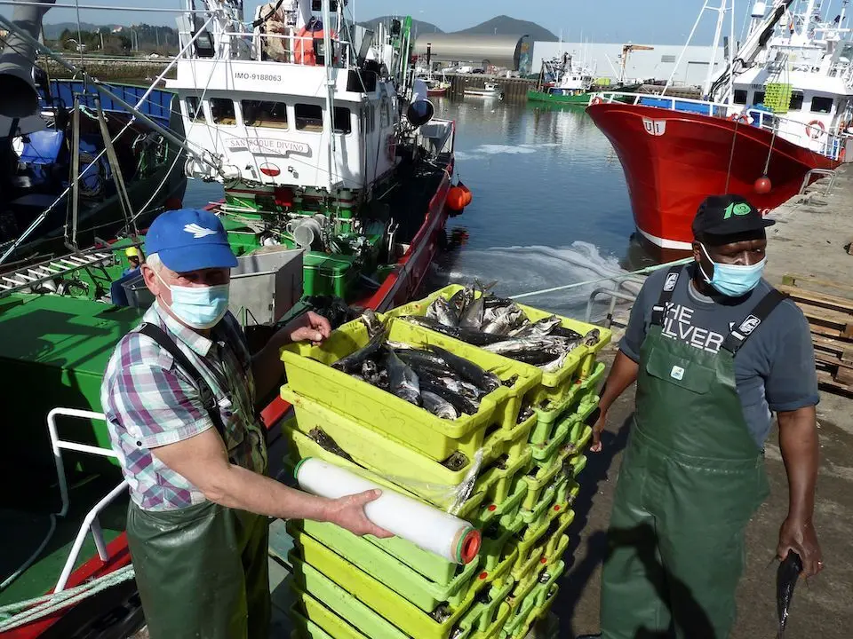 GRAF8396. SANTO&Ntilde;A (CANTABRIA), 04/03/2021.- Los cerqueros est&aacute;n desembarcando en los puertos de Cantabria bocarte (anchoa) de "peque&ntilde;o tama&ntilde;o", que se vende "a un precio bajo", en los primeros coletazos de una costera que comenz&oacute; esta semana a buen ritmo y que contrasta con la aceptaci&oacute;n en lonja del jurel (chicharro), mientras que la caballa (verdel) no emerge del mar. EFE/Miguel Ramos