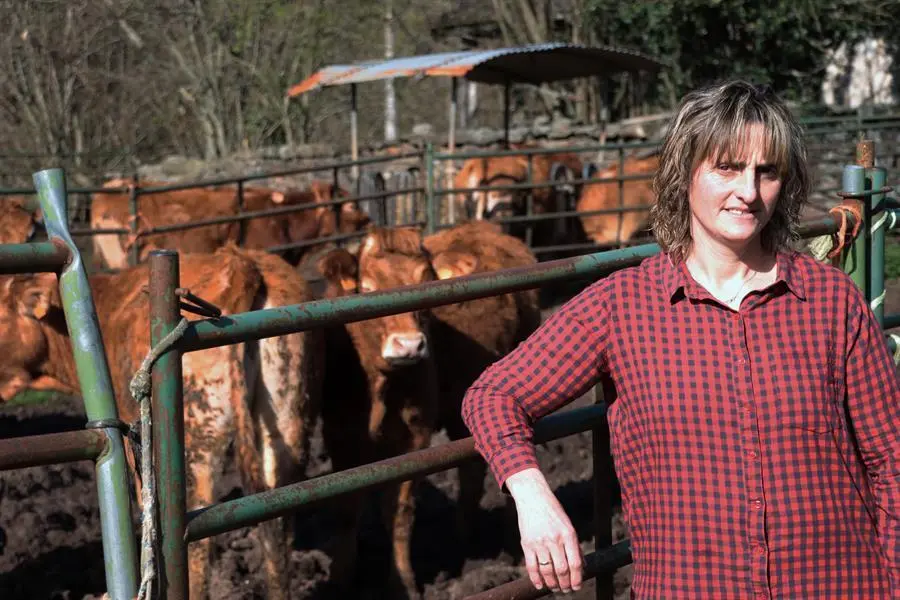 Teresaposa en la estabulaci&oacute;n de vacas que dirige desde hace 30 a&ntilde;os en la localidad c&aacute;ntabra de Pas. Teresa es hija y nieta de ganaderos y lamenta que en el siglo XXI no exista igualdad en su profesi&oacute;n y que a la mujer que se pone botas y buzo para cuidar del ganado no se la trate igual que a un hombre. EFE/ Celia Ag&uuml;ero Pereda