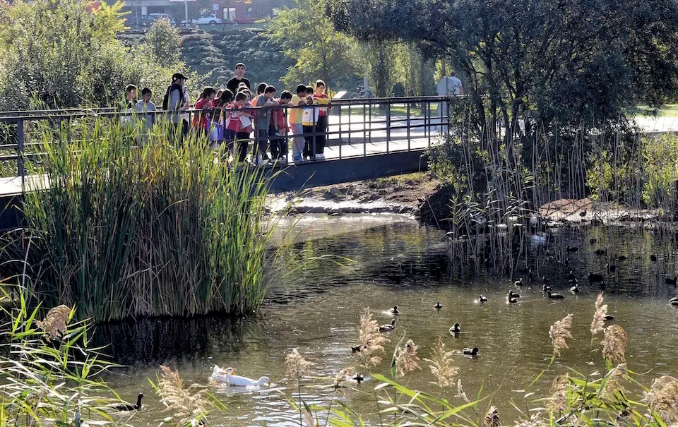 El parque de Las Llamas y sus aves centran los actos del D&iacute;a de los Humedales. / ARCHIVO - E. PRESS