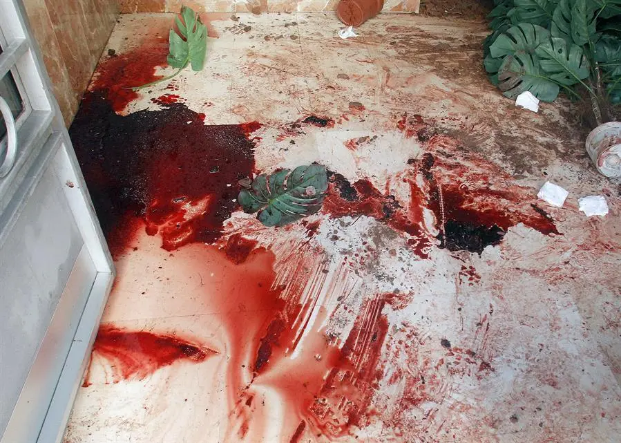 La mujer de 43 a&ntilde;os, la ni&ntilde;a de 12 y el ni&ntilde;o de 6, todos uruguayos, que sufrieron heridas graves ayer en un domicilio de Alcoy (Alicante) apu&ntilde;alados por la expareja, un hombre de 33 que posteriormente se suicid&oacute;, siguen en estado grave aunque en un principio no se teme por su vida.En la imagen, restos de sangre en el portal de la vivienda donde sucedieron los hechos.EFE/ Morell