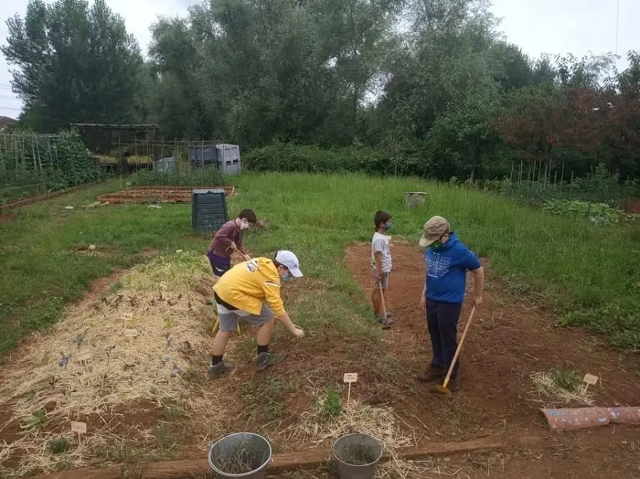 Actividades de medio ambiente en Camargo. / E. Press - Archivo