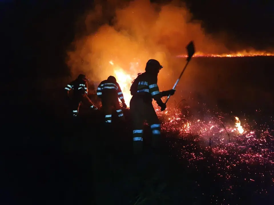 Incendios forestales