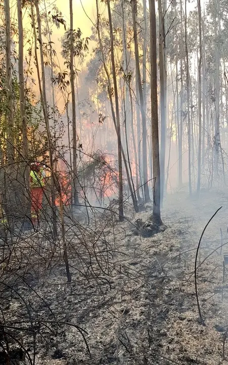 Los compa&ntilde;eros de 
BRIF de Rueente contin&uacute;an trabajando junto a #BomberosForestales del Servicio de Montes de 
@cantabriaes en el incendio de Herrerias que afecta a bosque de eucalipto./ @BRIF_Ruente