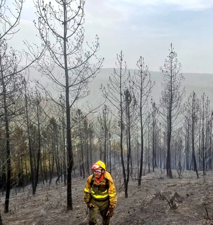 Un bombero del servicio de extinci&oacute;n del BRIF de Ruente camina por el bosque calcinado. / BRIF Ruente