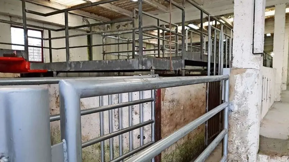 Interior del matadero comarcal de Torrelavega. / ALERTA