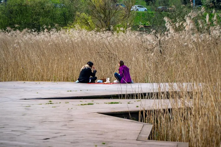 Quince a&ntilde;os despu&eacute;s de su creaci&oacute;n, la historia del Parque de Las Llamas en Santander es de &eacute;xito, porque lo que era una escombrera y una zona abandonada de huertas okupas se ha convertido en un gran parque urbano, ejemplo de conservaci&oacute;n y con un importante n&uacute;mero de especies de aves tanto residentes como de paso. EFE/ Rom&aacute;n G. Aguilera