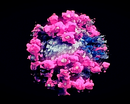 No es una foto (no se puede fotografiar a un virus), pero tampoco en un modelo de ordenador.
Lo que un equipo de investigadores en tres pa&iacute;ses
ha logrado es la primera imagen real y en tres dimensiones del SARS-CoV-2, un avance que puede ayudar a los cient&iacute;ficos a luchar contra &eacute;l.