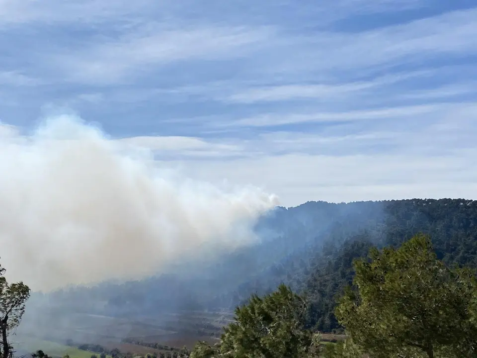 Incendio forestal 