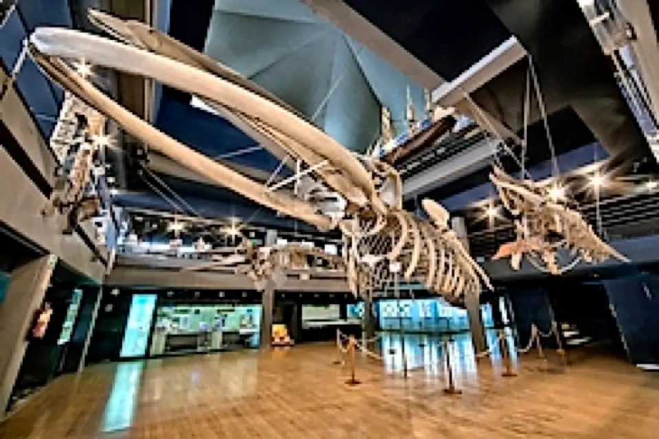 El Gobierno quiere relanzar el Museo Mar&iacute;timo del Cant&aacute;brico en su 40 aniversario y para ello prev&eacute; proyectos por un montante de m&aacute;s de 700.000 euros. / ALERTA