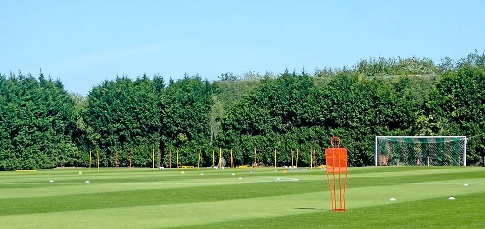 El campo n&uacute;mero uno de La Albericia estaba preparado ayer para un entrenamiento que, finalmente, no se pudo llevar a cabo. / Hardy