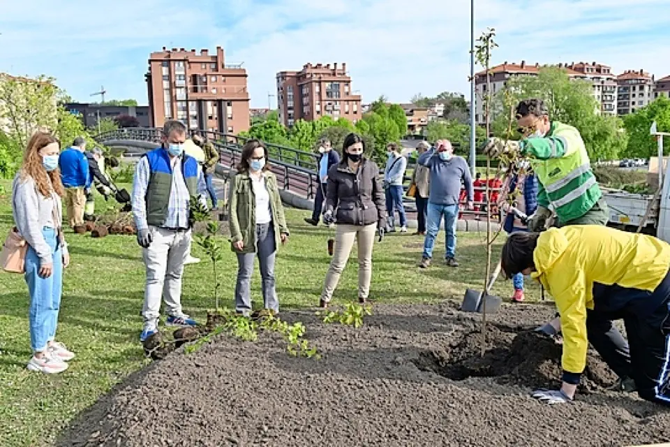 Un momento de la plantaci&oacute;n. / ALERTA