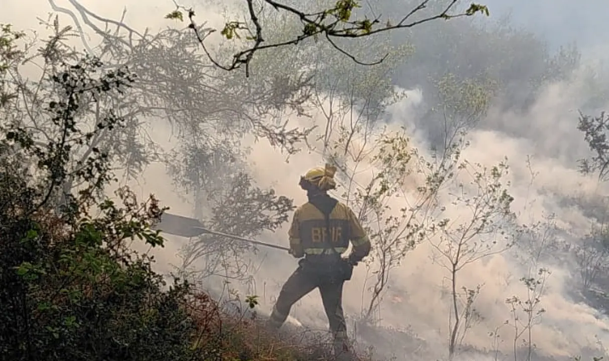 Un operario del BRIF de Ruente durante las labores de extinci&oacute;n de incendios.