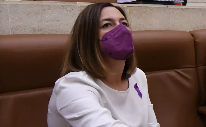 La consejera de Econom&iacute;a, Mar&iacute;a S&aacute;nchez durante una sesi&oacute;n parlamentaria. / Hardy