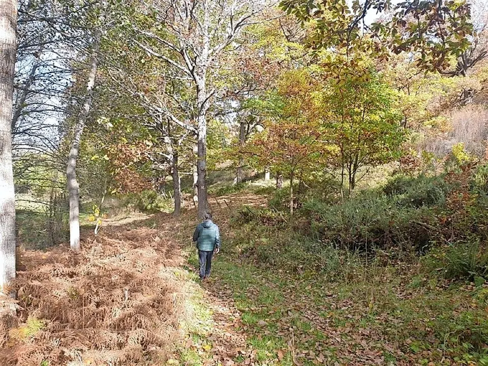 Sendero deportivo. / ALERTA